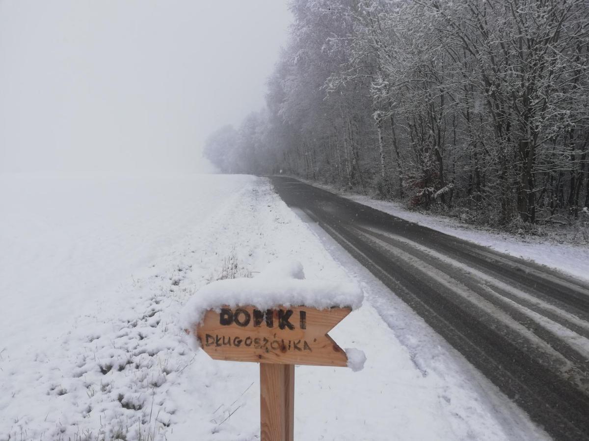 Domki Caloroczne Dlugoszowka Pod Rzeszowem Ruska Bania, Basen Βίλα Zaborow  Εξωτερικό φωτογραφία